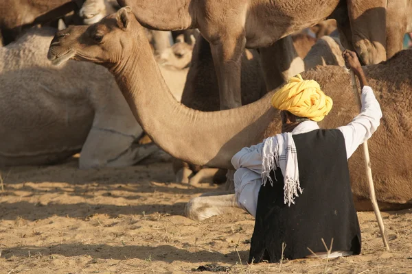 Homem camelo — Fotografia de Stock