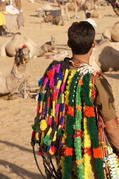 Modeaccessoires für Kamele — Stockfoto