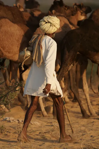 Camel Herder — Stockfoto