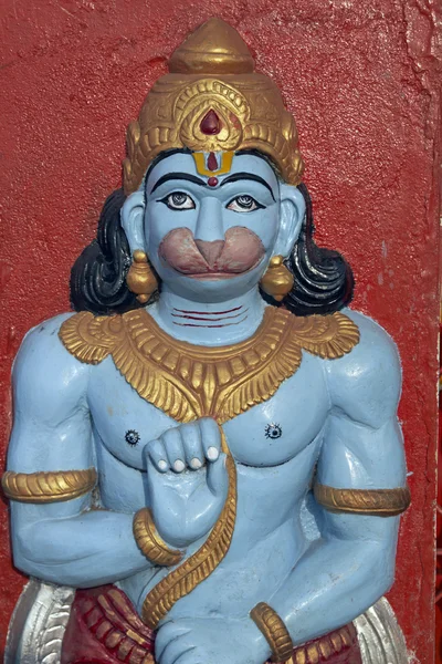 Apa hinduisk Gud — Stockfoto