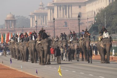 Elephants on Parade clipart