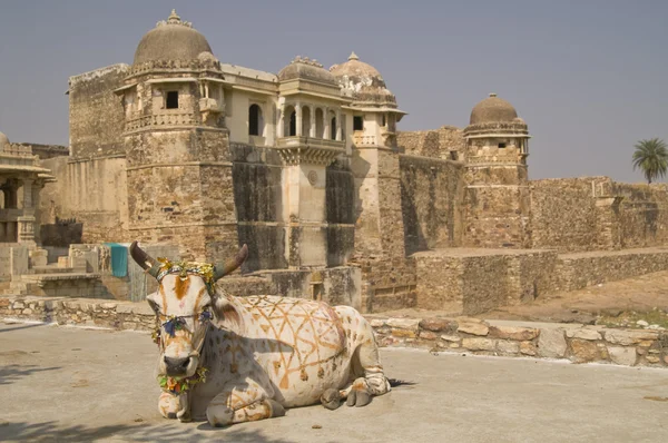 Hindu ineği dekore edilmiş — Stok fotoğraf