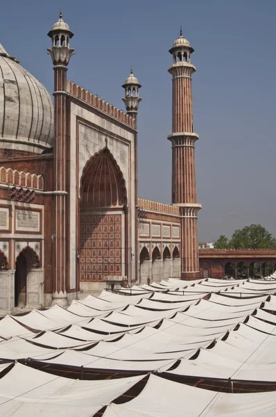 Mesquita histórica — Fotografia de Stock