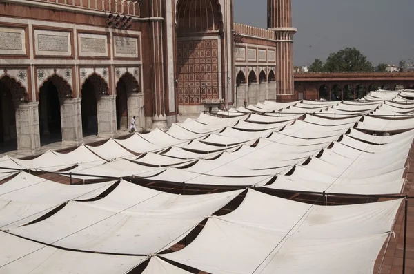 Oude delhi moskee — Stockfoto