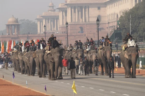 Слоны на параде — стоковое фото
