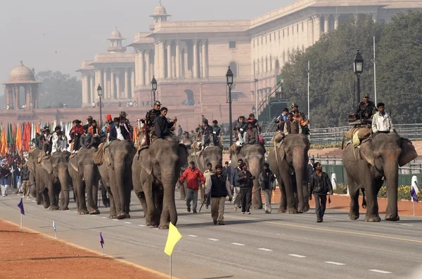 在德里的大象 — 图库照片