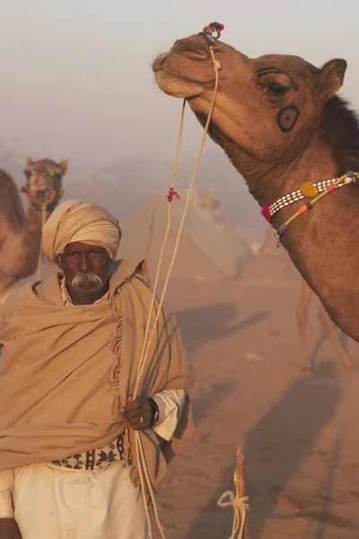 Man en kameel — Stockfoto
