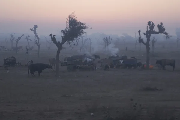 Morgengrauen in Rajasthan — Stockfoto