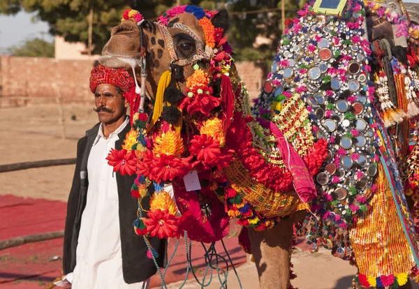 Ornately Decorated Camel — Stock Photo, Image