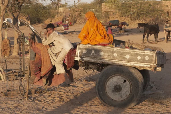ラクダの荷車 — ストック写真