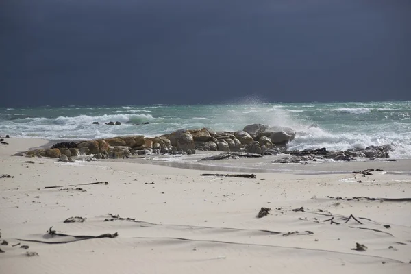 Stormy Sea — Stock Photo, Image