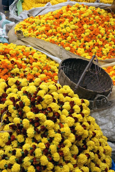 Marché aux fleurs — Photo