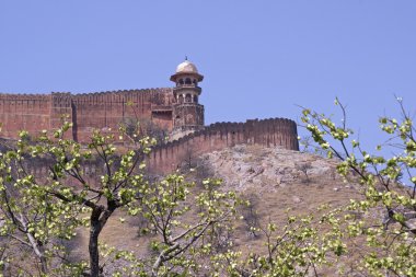 Ancient Indian Fort