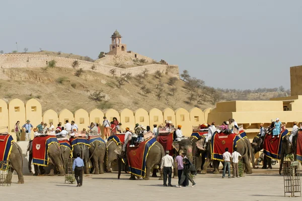Transporte de elefantes — Fotografia de Stock