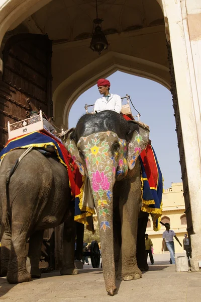 Working Elephant at Amber Fort — Stock Photo, Image