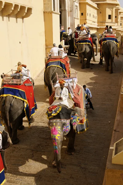 Transporte de elefantes em Amber Fort — Fotografia de Stock
