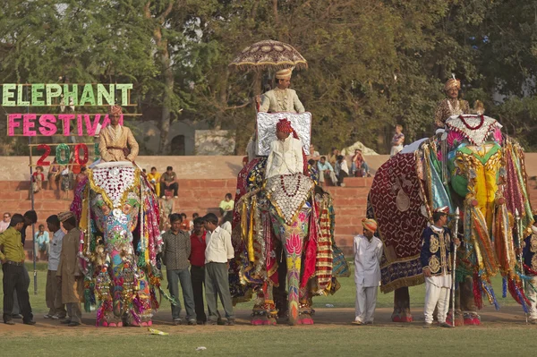 Modeparade für Elefanten — Stockfoto