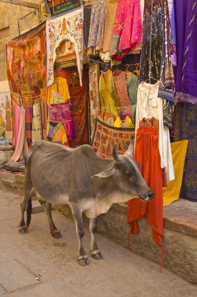Alışveriş inek — Stok fotoğraf