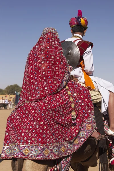भारतीय उत्सव — स्टॉक फोटो, इमेज