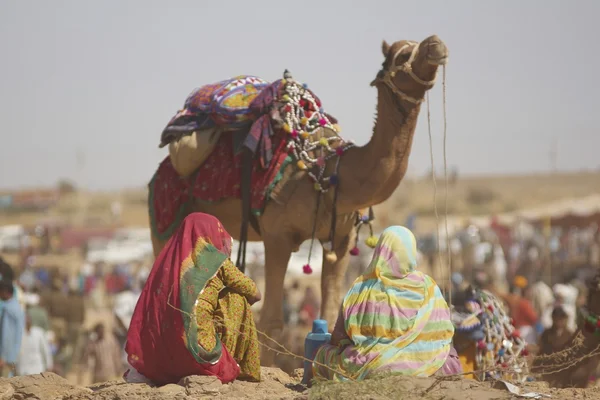 砂漠の祝祭 — ストック写真