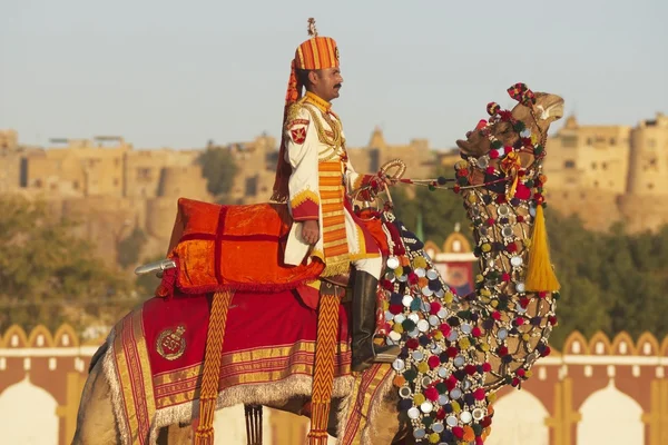 Kamel salute i jaisalmer öken festival — Stockfoto