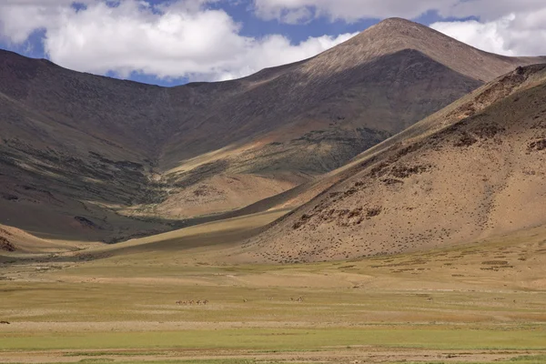 stock image High Altitude Plains