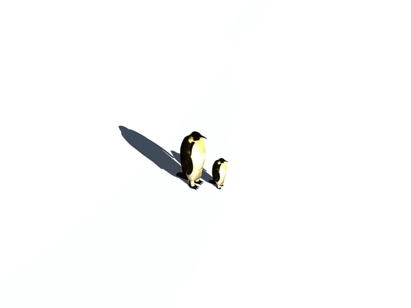 Πιγκουΐνους που απομονώνονται σε λευκό φόντο — Φωτογραφία Αρχείου