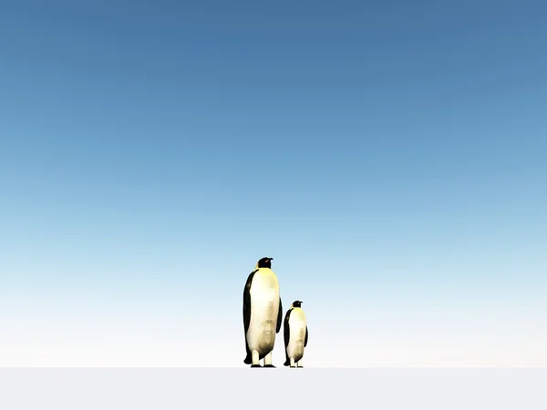 Pingüinos bajo el cielo azul —  Fotos de Stock