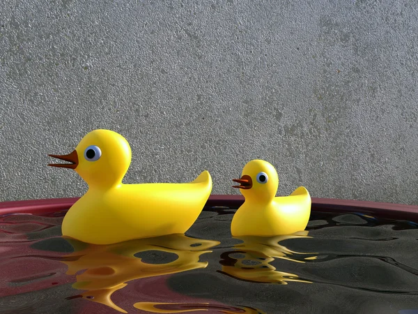 Ducks in water — Stock Photo, Image