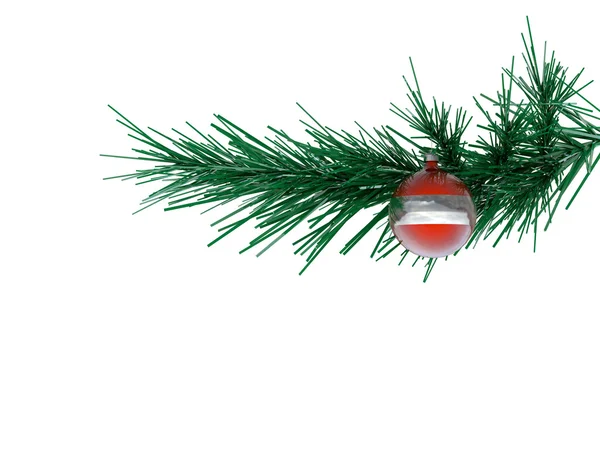 Vánoční větve izolovaných na bílém pozadí — Stock fotografie