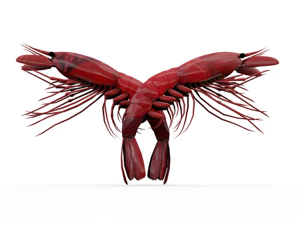 Red crayfishes isolated on white background — Stock Photo, Image