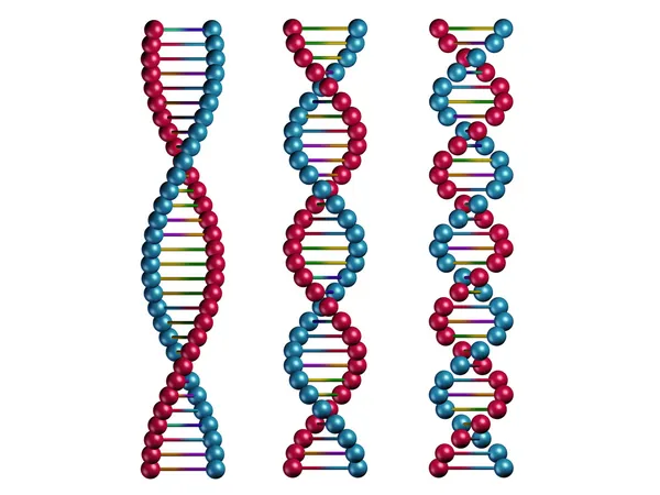 Catene di DNA isolate su sfondo bianco — Foto Stock