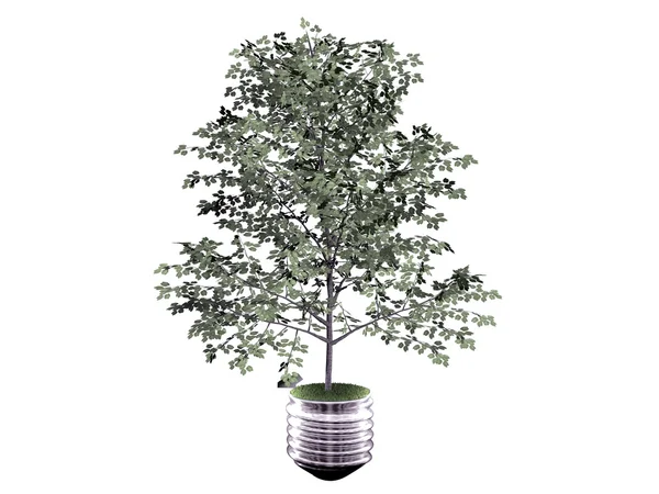 Träd i en glödlampa — Stockfoto