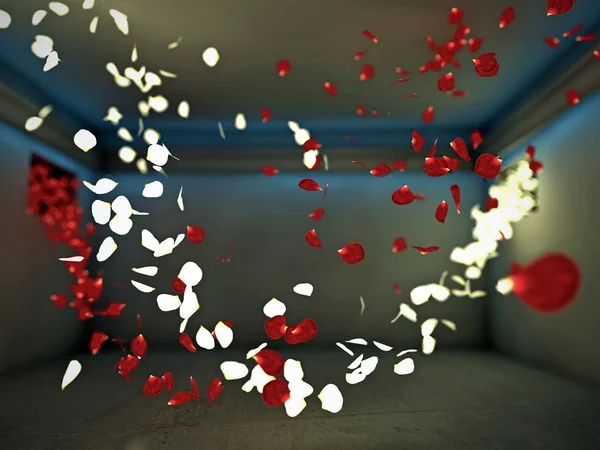 Blütenblätter in einem Raum — Stockfoto