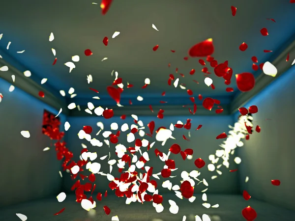 Szirmok a virág egy szobában — Stock Fotó