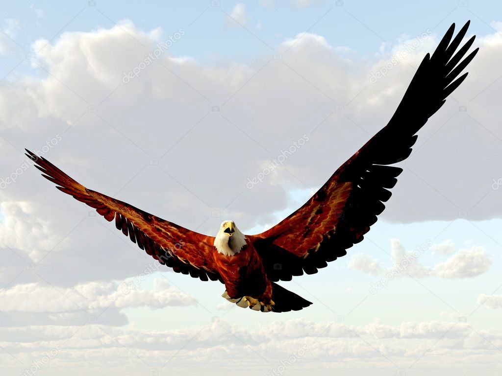 ag eagle stock price