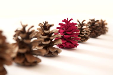 Red pine cone clipart