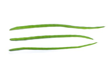 Moringa drumstick clipart