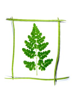 baget üzerinde çerçeveli moringa