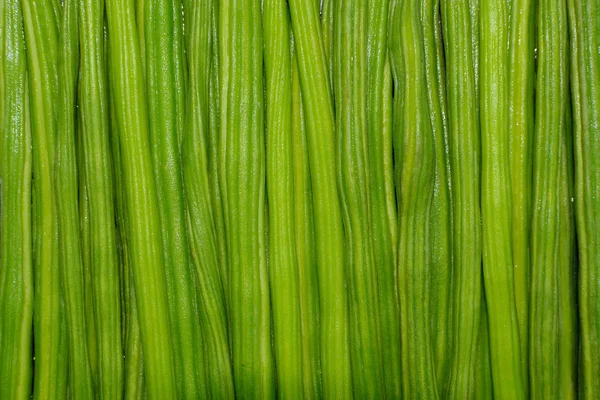 Moringa-drumstick — Stock Photo, Image