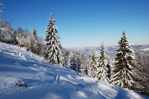 Stock image Snowy winter