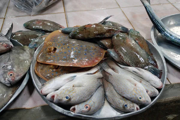 Seafood Market