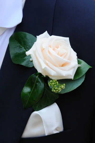 Grooms Buttonhole flower. — Stock Photo, Image