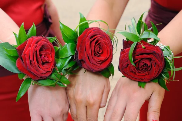 Tres rosas rojas —  Fotos de Stock