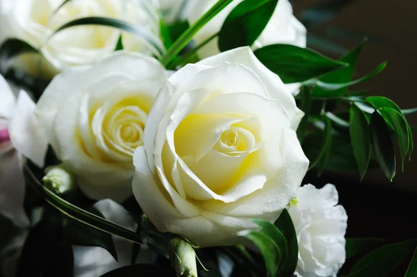 Novias rosas blancas —  Fotos de Stock