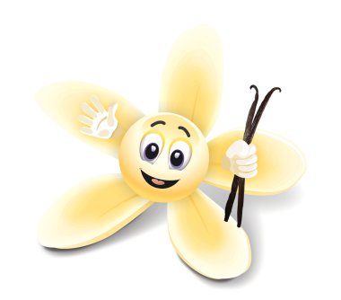 Vanilla flower clipart