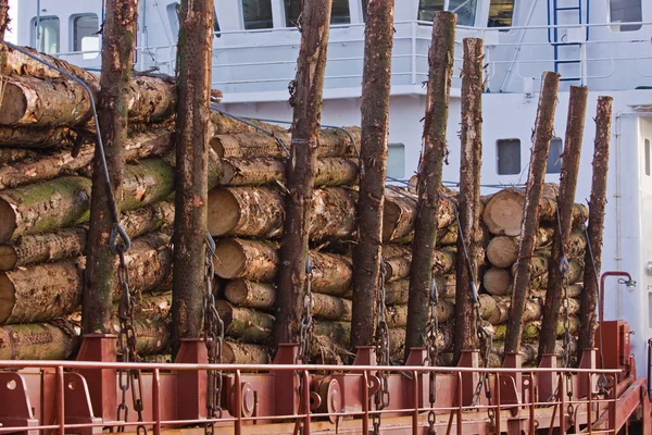 Carga de Spruce Logs em Dockside — Fotografia de Stock