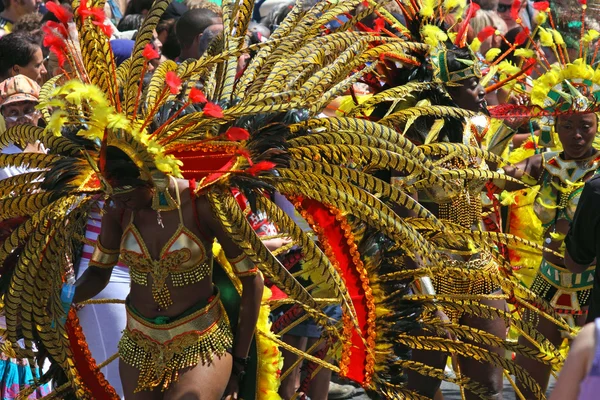 Carnaval veren — Stockfoto