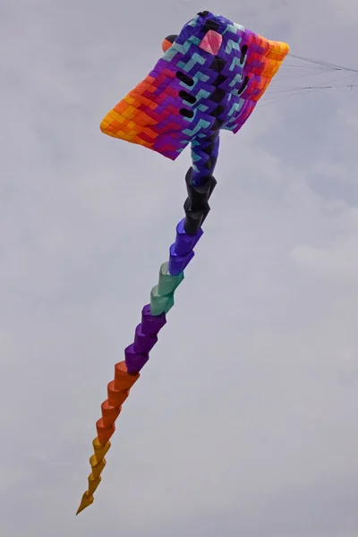Pipa colorida — Fotografia de Stock
