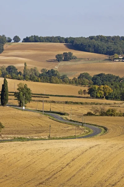 Сельская дорога — стоковое фото
